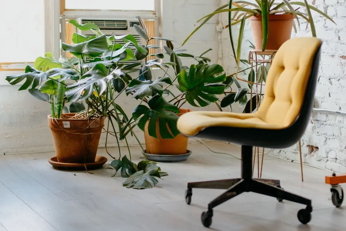 5 slags stole hvor kvaliteten er ekstra vigtig